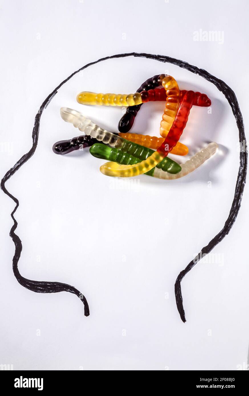 Exploring The Quirky Connection Between Jelly Bean Brains And Sex